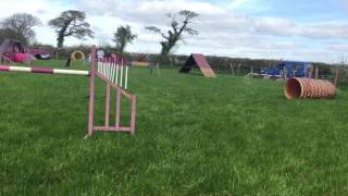 😍Infamous Mister Pea😍