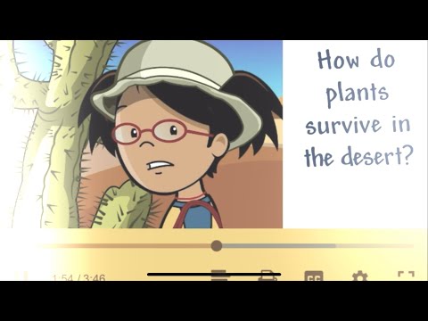 Cartoon Story 3 part 11 - Mufasa’s Story of Scar