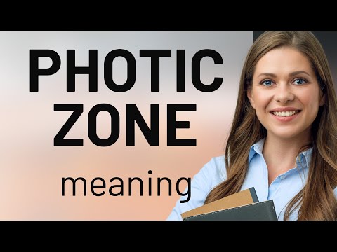 Exploring the Ocean's Light: Understanding the Photic Zone