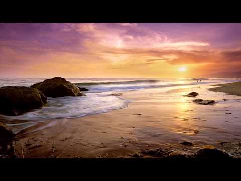 Flame & Dima Pulsar - Bringing On (Clip)