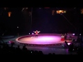 BB Circus With Presley 6