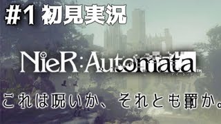 【初見プレイ】これは呪いか、それとも罰か。【NieR:Automata】