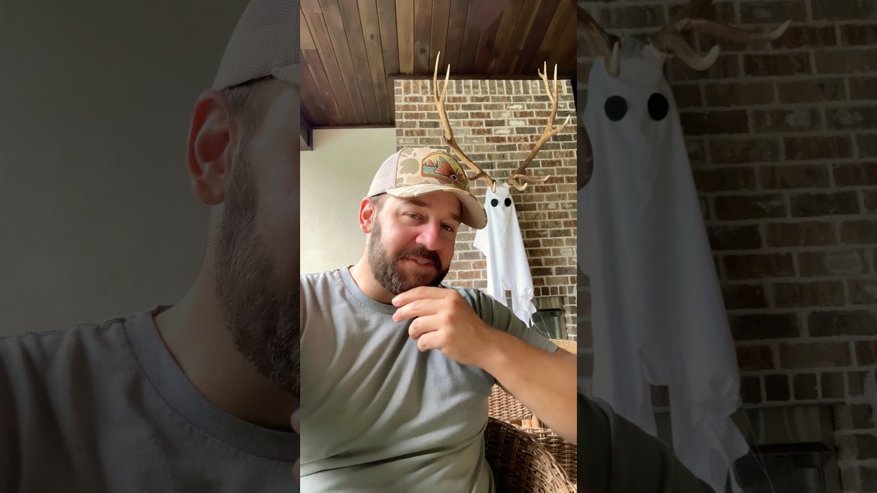 Once You See This… You Can’t Not… #congress #langley #shortsfeed #shortsvideo #goa #braden