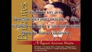 Miguel Acevez Mejia Voy de Gallo Letra