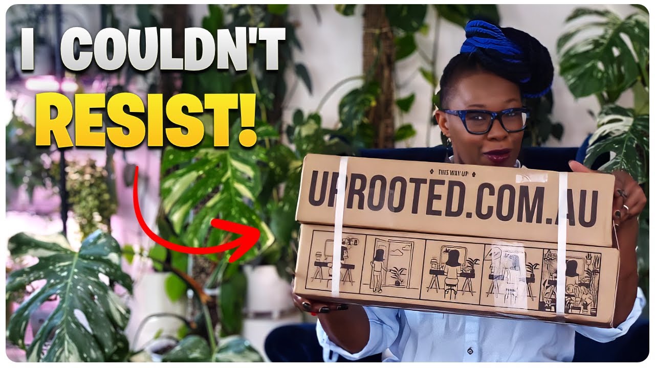 Information / Education