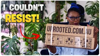 Mystery Plant Box Unboxing: Which Ones Are Going Into Semi Hydroponics?