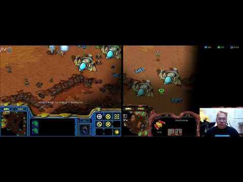 Rain vs Larva PvZ @ Gold Rush [2017-09-27]