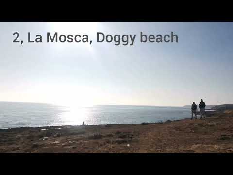 🏖️😁 doggy Beach, La Mosca ( Playa Flamenca) Orihuela Costa 02,01,2022