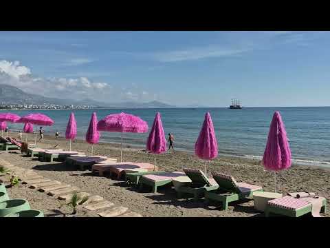 26.10.2025 "SUNDAZE BEACH CLUB".No comment.+90551 174 67 36 wats up