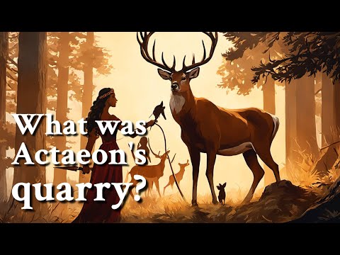 What was Actaeon's quarry? Greek Mythology Story
