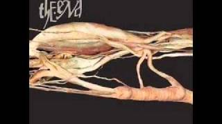 The End - Opalescence I.