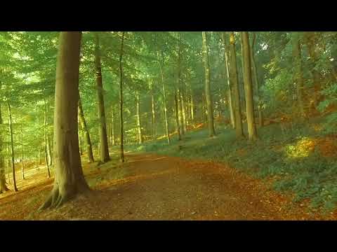 Die Schlei. Ein Kurzfilm.