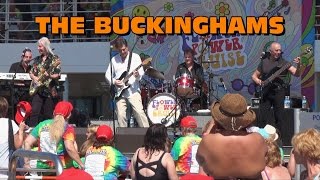 The Buckinghams 2016 Flower Power Cruise