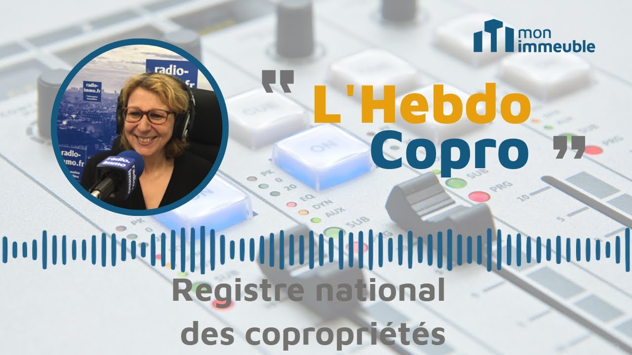 Registre des copropriétés : Pourquoi catégoriser les copropriétés ?