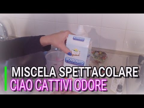 Come espellere parassiti da rimedi di gente di organismo Come mangiare allatto di trattamento di parassiti
