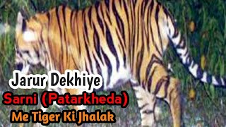 preview picture of video 'Sarni (Patarkheda) Me Dikha #Tiger '