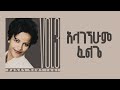 አላገኘሁም ፈልጌ ቃልኪዳን ጥላሁን ሊሊ Kalkidan Tilahun Lily Alagegnehum F