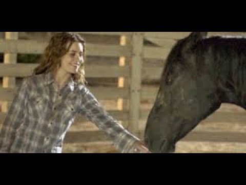 Flicka  Full Movie Fact, Review & Information /  Alison Lohman / Tim McGraw