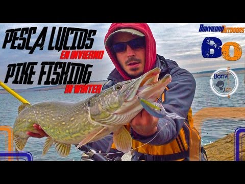 PESCA DEL LUCIO en INVIERNO con VINILO desde ORILLA | PIKE FISHING in WINTER | www.bofishing.es