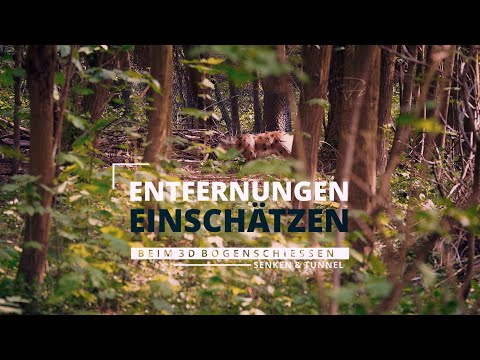 Entfernungen einschätzen 3D Bogenschießen