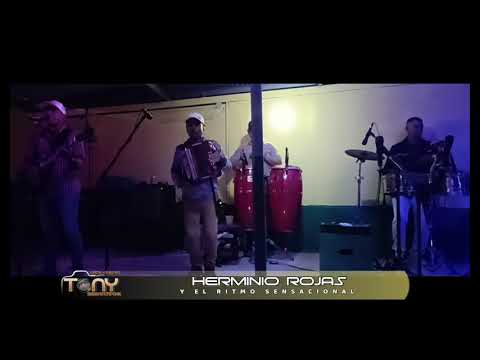 Herminio Rojas (En Vivo) La Llama Del Amor / Voz Chicorio González / Patronales Del Valle de Antón