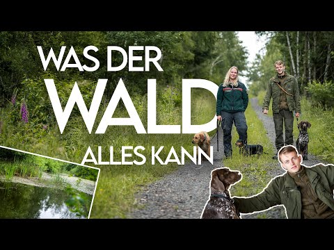 On the road with a forester - What do forests do? Forestry explains