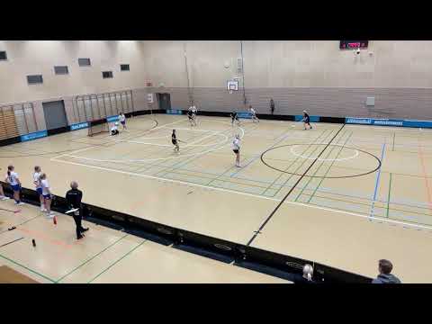 Nibacos T21 - Nibacos naiset edustus harkkapeli