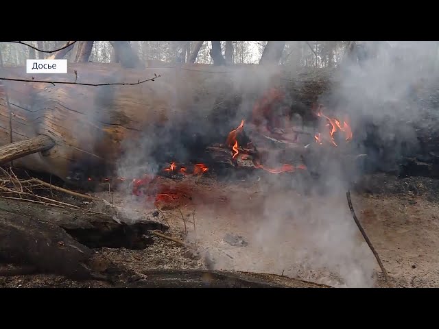 Иркутская область на первом месте по лесным пожарам
