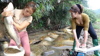 Full Videos: Greatest Fishing In The Wild, Unique Fishing, Fishing Techniques, Catch A Lot Of Fish