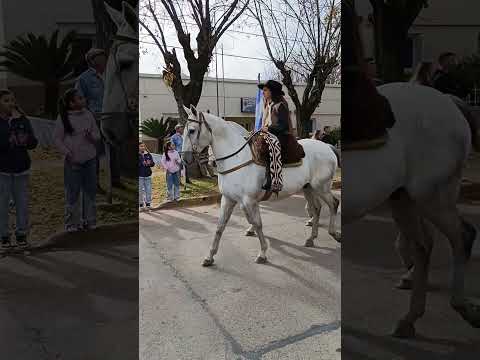 Tradicional Desfile Gauchesco en Viale Entre Ríos 25 de mayo 2026 #Argentina 