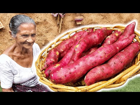 Sweet Potato Curry