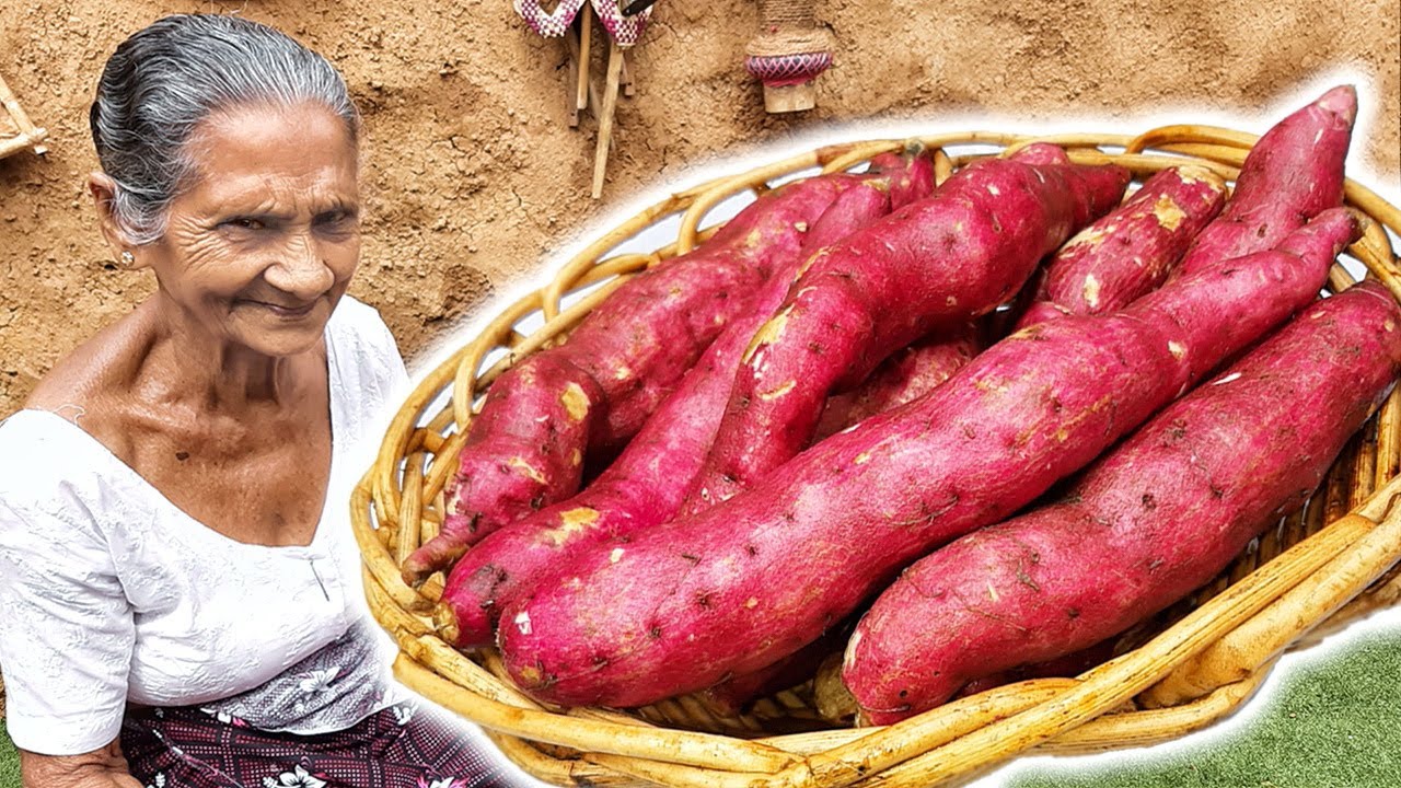 Sweet Potato Curry