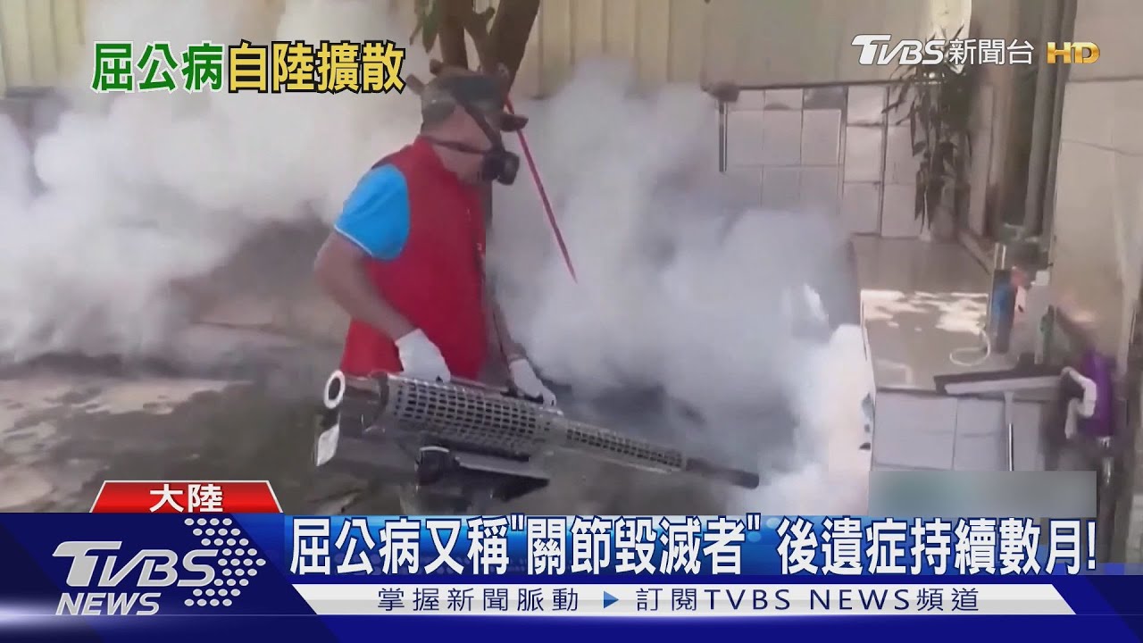 浙江福建列一類風險!小三通暑假人潮爆滿 防屈公病入侵台灣