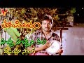 PACHA PACHANI KALA VIDEO SONG THOORPU SINDHOORAM KARTHIK KUSHBOO REVATHY V9 VIDEOS