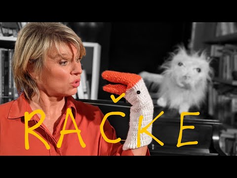 5 majhnih račk - Romanin kotiček