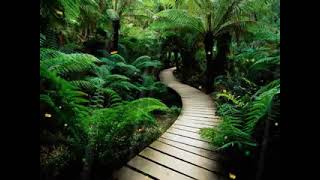 Ótimo final de semana BOM DIA