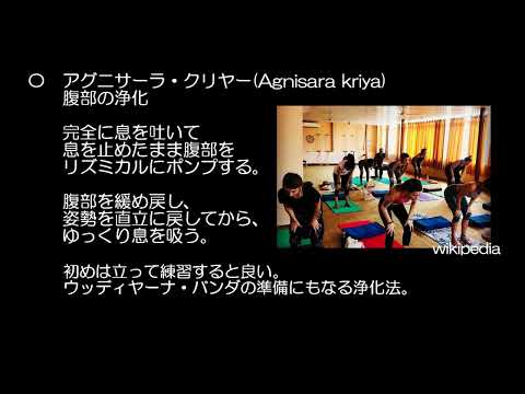 ヴァンダ・ベンソニー