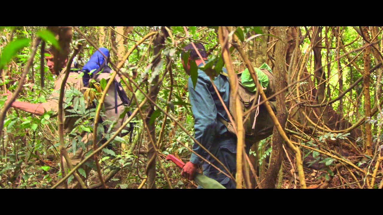 Miniature de la vidéo The Jungle - Bande-Annonce VF du film The Jungle