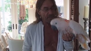 Iggy Pop's cockatoo Biggy Pop is so fly