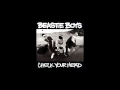 Beastie Boys-Gratitude