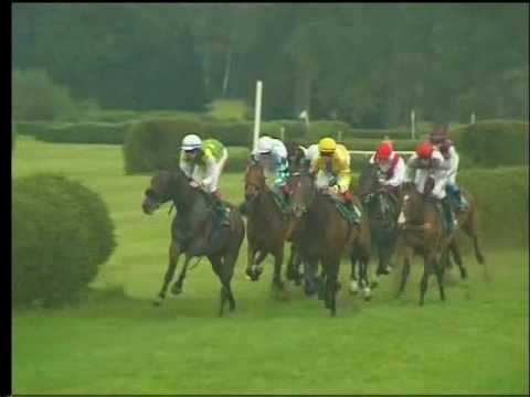 KO, 13. 8. 2016, 2. dostih - CENA PŘÁTEL DOSTIHŮ KOLESA