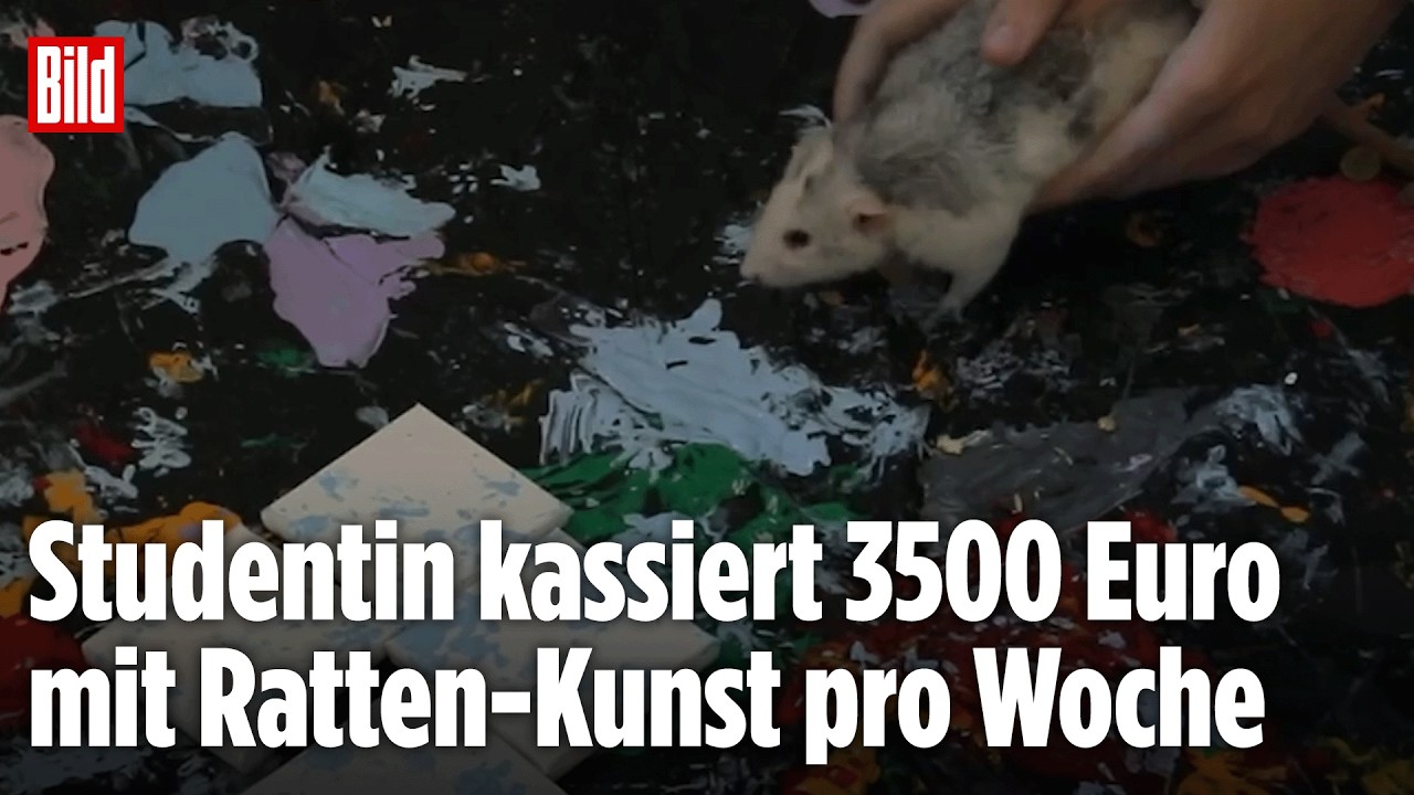 KUNST: Studentin finanziert sich mit abstrakter Ratten-Kunst ihr Studium!