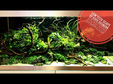 OASE HighLine 300 Low Tech Scape