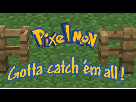 Minecraft 1.8 - Pixelmon 4.1.4 - Survival LP - Gotta Catch Them All - Backyard Rumble - EP 12