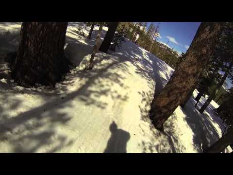 Nick Calcaterra's Autobiography