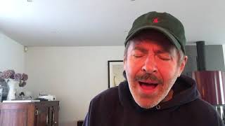 Visiteur et voyageur / Véronique Sanson