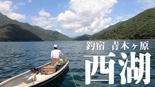 西湖の有名ポイント石切り場で舟釣り＆釣宿 青木ヶ原宿泊レビュー【へらぶな釣り】