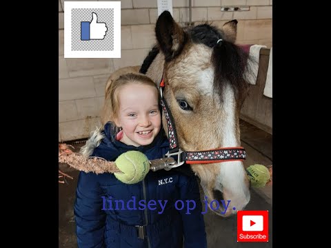 Springles met Joy bij Holzik stables. Lindsey´s paardenwereld.