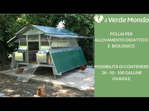 Parassiti nella casa per ragazze A che il sogno tirare fuori da sé vermi