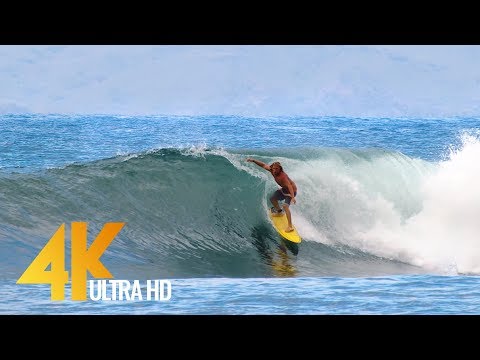 Fearless Surfers of Honolua Bay - Maui Island, Hawaii - 4K Relaxation video with Ocean Sounds